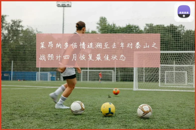 莱昂纳多伤情追溯至去年对泰山之战预计四月恢复最佳状态